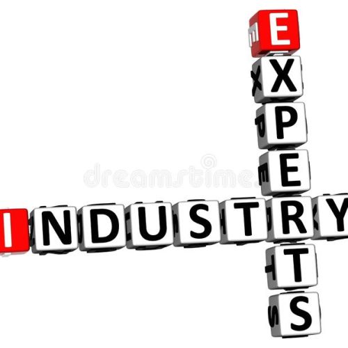 INUSTRY EXPERTS